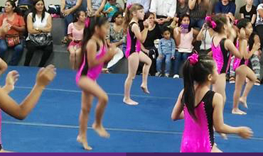 Escuela de Gimnasia Koala