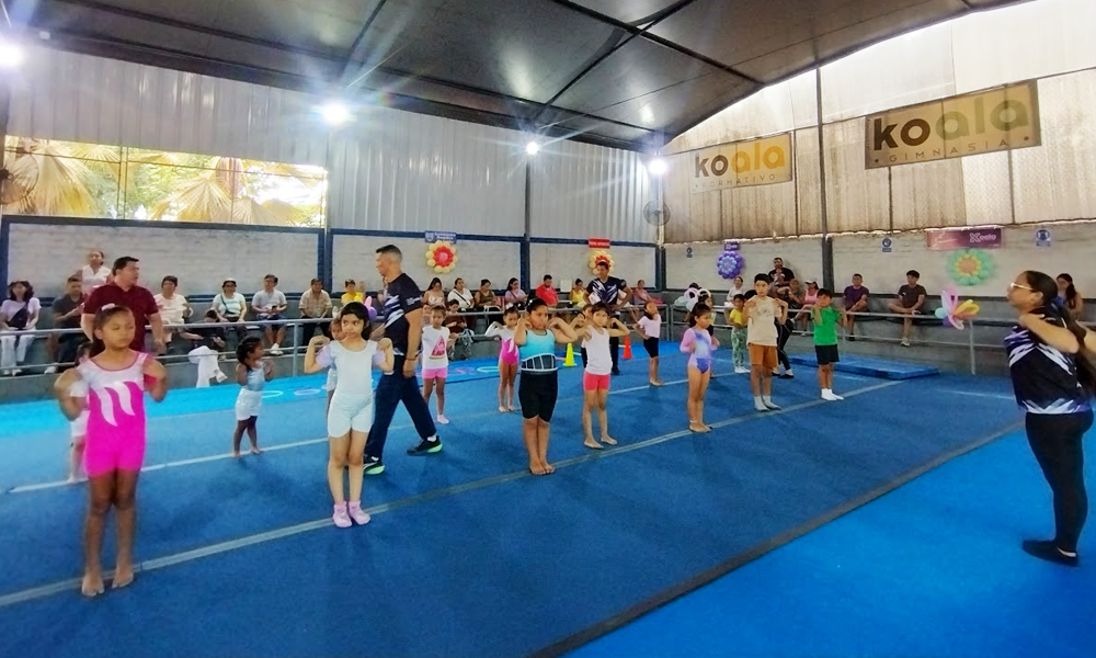 escuela de gimnasia koala