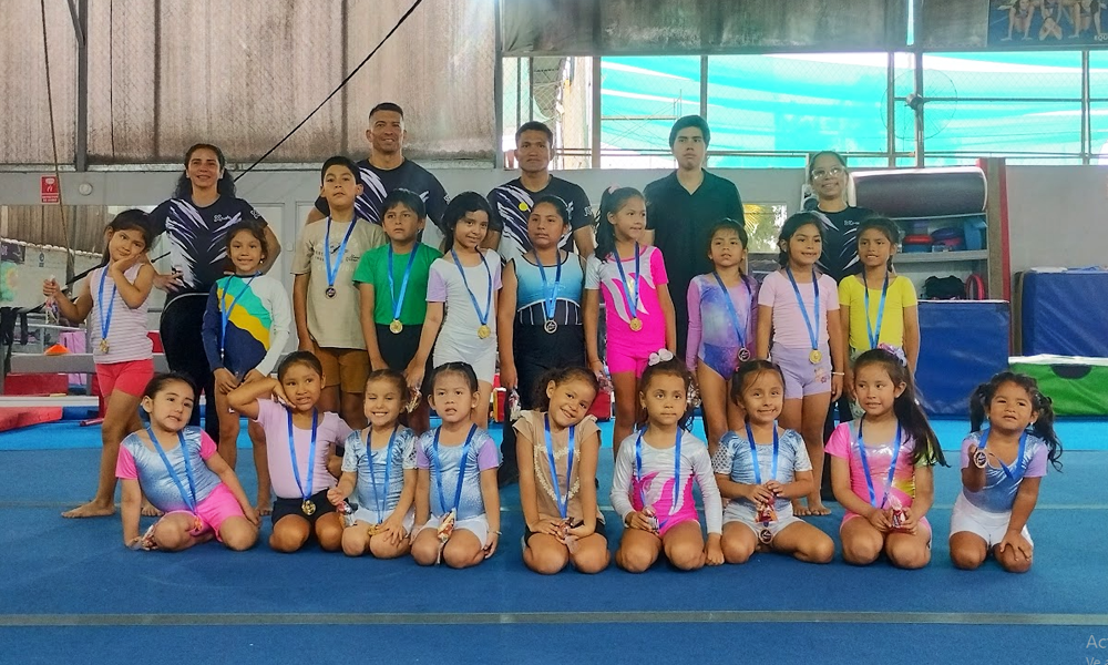 escuela de gimnasia koala