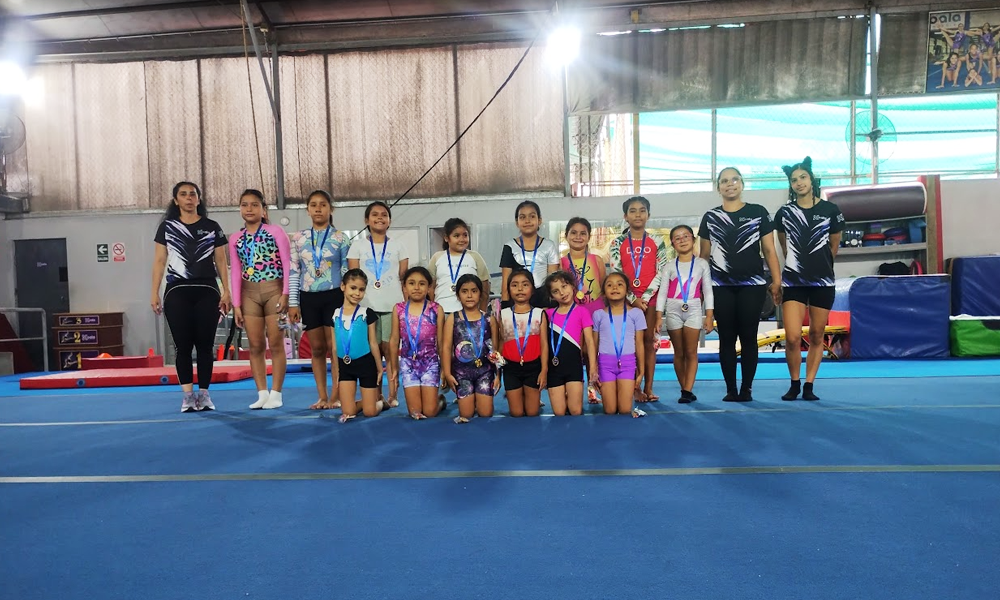 escuela de gimnasia koala