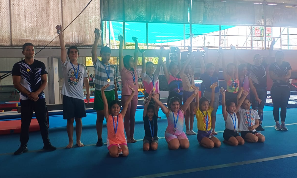 escuela de gimnasia koala