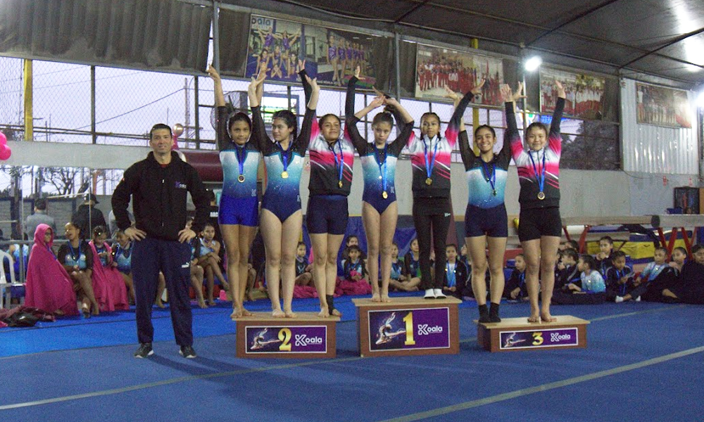escuela de gimnasia koala