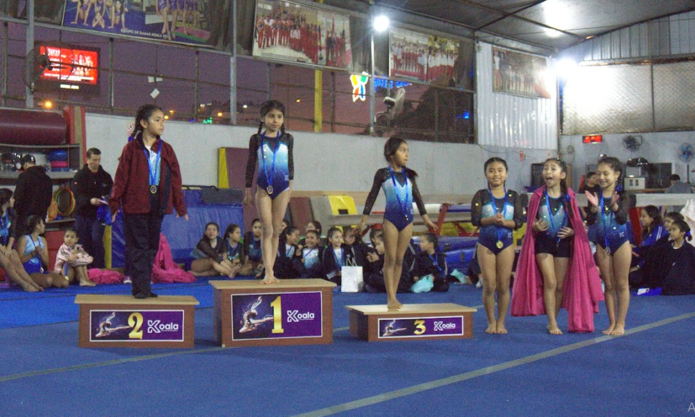 escuela de gimnasia koala