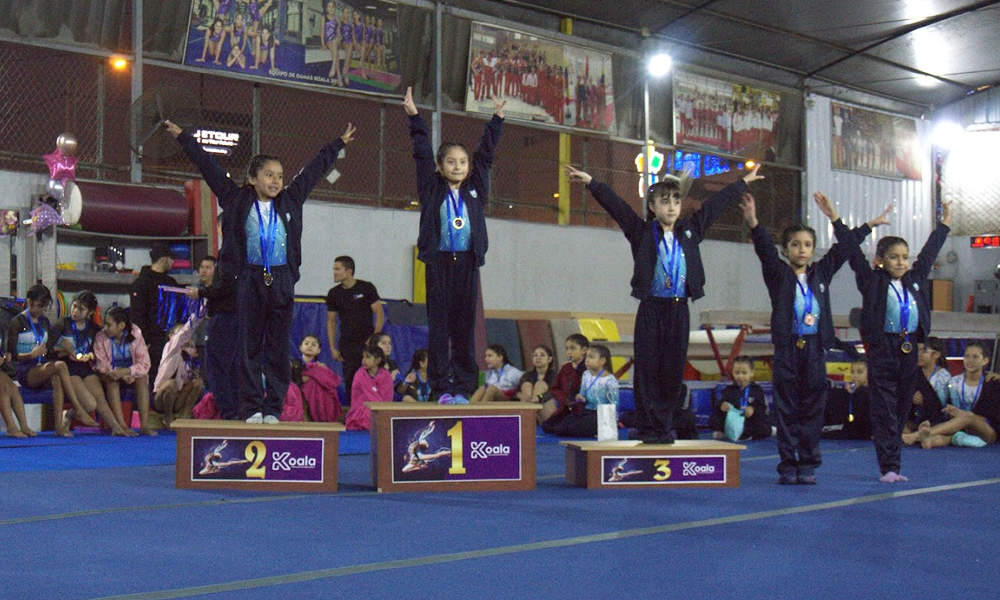 escuela de gimnasia koala