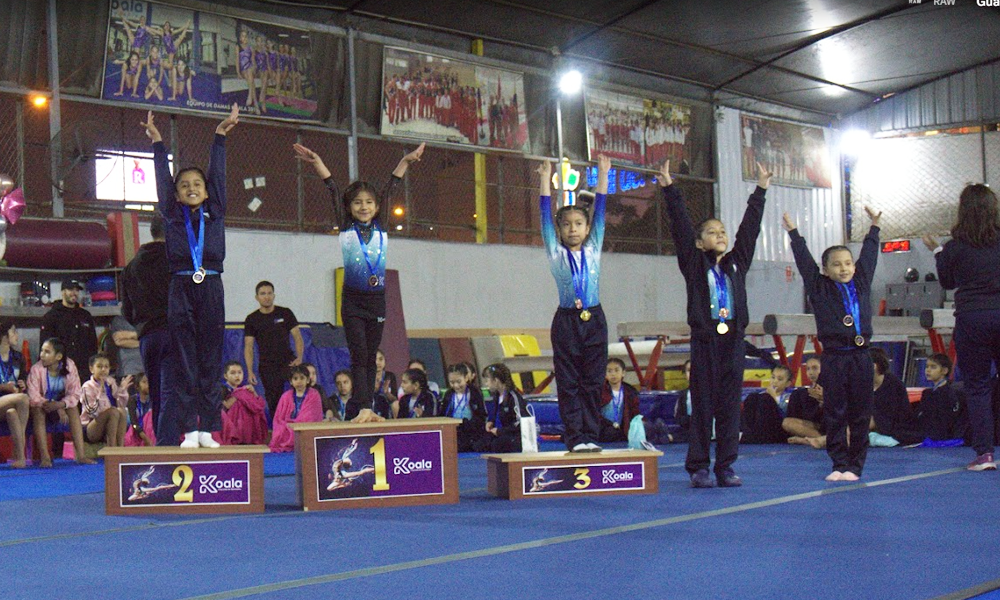 escuela de gimnasia koala