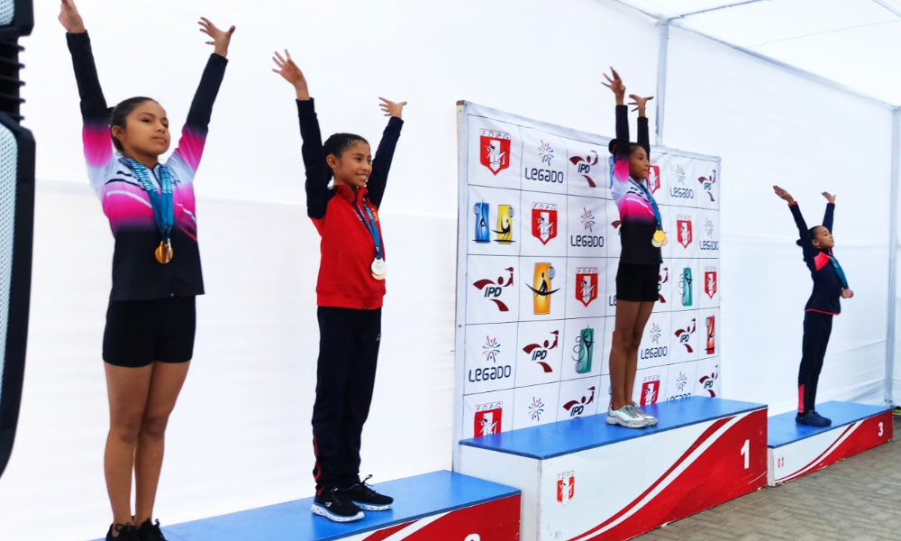 escuela de gimnasia koala