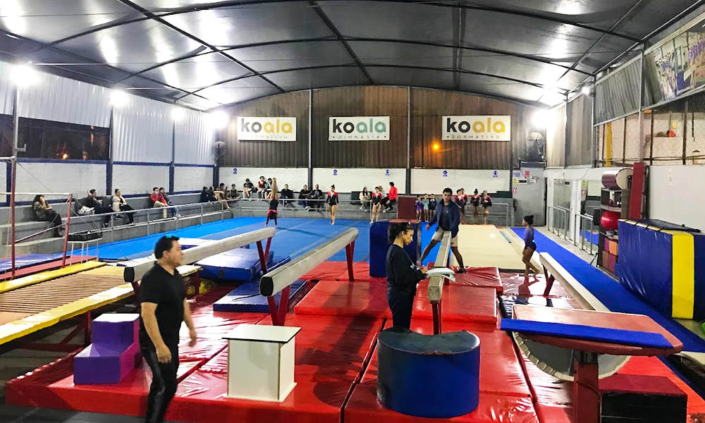 escuela de gimnasia koala