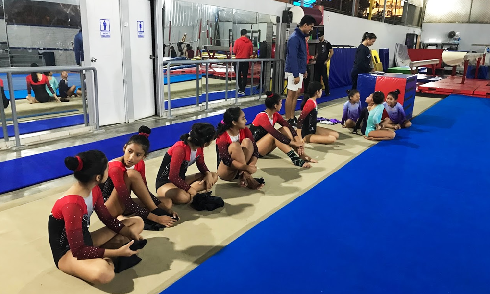 escuela de gimnasia koala
