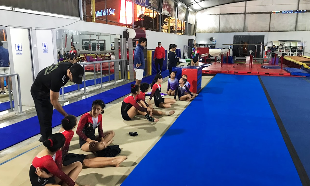 escuela de gimnasia koala