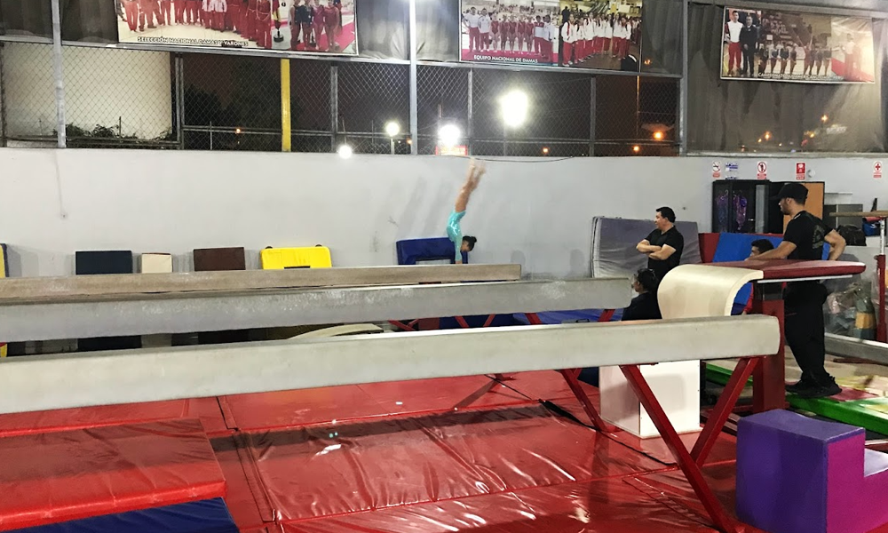 escuela de gimnasia koala