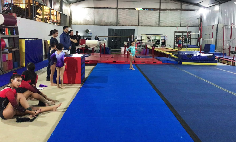 escuela de gimnasia koala