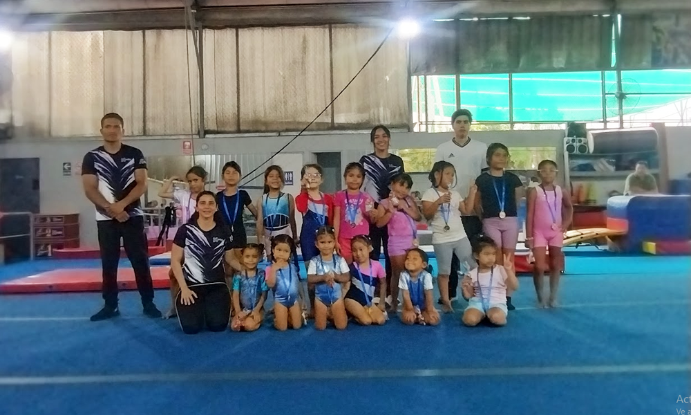 escuela de gimnasia koala