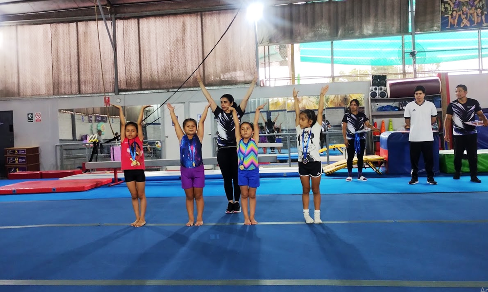escuela de gimnasia koala